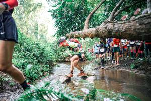 BIB: 
                            <button type="button" onclick="openModal(25516566)" class="btn btn-primary btn-sm float-right btn-popup" data-toggle="modal" data-target=".modal-high-quality">
                        <i class="fas fa-shopping-cart"></i> Add to Cart
                    </button>
                                            <button type="button" onclick="isThisMe(25516566, true)" class="btn btn-success btn-sm float-right btn-popup btn-isme hidden" data-toggle="tooltip" data-placement="bottom" title="นี่คือรูปของคุณใช่ไหม คลิกที่นี่เพื่อเอาเข้าอัลบั้ม">
                        <i class="fas fa-plus"></i> Add to album
                    </button>
                    <button type="button" onclick="isThisMe(25516566, false)" class="btn btn-warning btn-sm float-right btn-popup btn-isnotme hidden">
                        <i class="fas fa-ban"></i> Remove from album
                    </button>